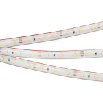 Светодиодная лента герметичная RTW-PS-A60-10mm 12V Warm3000 (4.8 W/m, IP67, 2835, 5m) (Arlight, 4.8 Вт/м, IP67)