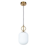 Divinare BOTEIN 5013/18 SP-1