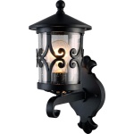 Уличный настенный светильник Arte Lamp PERSIA A1451AL-1BK