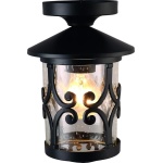 Уличный потолочный светильник Arte Lamp PERSIA A1453PF-1BK