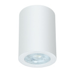 Точечный накладной светильник ARTE LAMP A1468PL-1WH