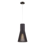 Подвесной светильник Arte Lamp CARCASSA A2931SP-1BR