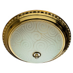 ARTE LAMP ALTA A3013PL-2GO