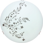 Потолочный светильник Arte Lamp ORNAMENT A3820PL-2CC