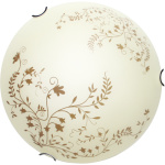 Потолочный светильник Arte Lamp ORNAMENT A4920PL-2CC
