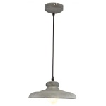Подвесной светильник Arte Lamp LOFT A5025SP-1BG