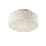 Потолочный светильник Arte Lamp AQUA A5320PL-1WH