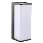 Уличные настенные светильники ARTE LAMP  A6419AL-1BK