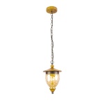Подвесной светильник Arte Lamp CATENA A6711SP-1BR