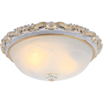 Потолочный светильник Arte Lamp TORTA A7152PL-2WG