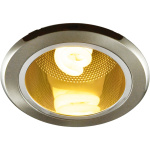 Точечный встраиваемый светильник Arte Lamp DOWNLIGHTS A8044PL-1SS