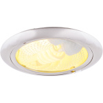 Точечный встраиваемый светильник Arte Lamp DOWNLIGHTS A8060PL-2SS