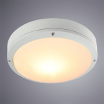 Уличный потолочный светильник Arte Lamp CITY A8154PF-2WH