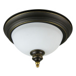 Потолочный светильник Arte Lamp BONITO A9518PL-2BA