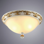 Потолочный светильник Arte Lamp BENESSERE A9570PL-2WG